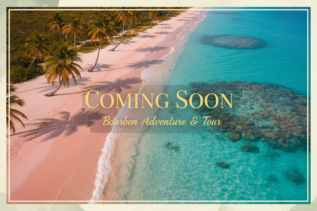 Keep a look out for Launch Dates!